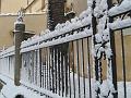 Neve (32)